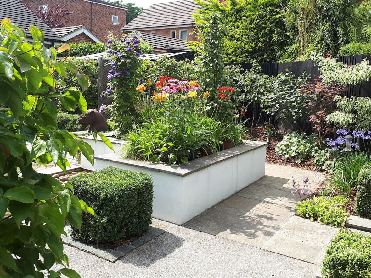 arden design in Bracknell, Berkshire with raised planters and clipped Buxus.