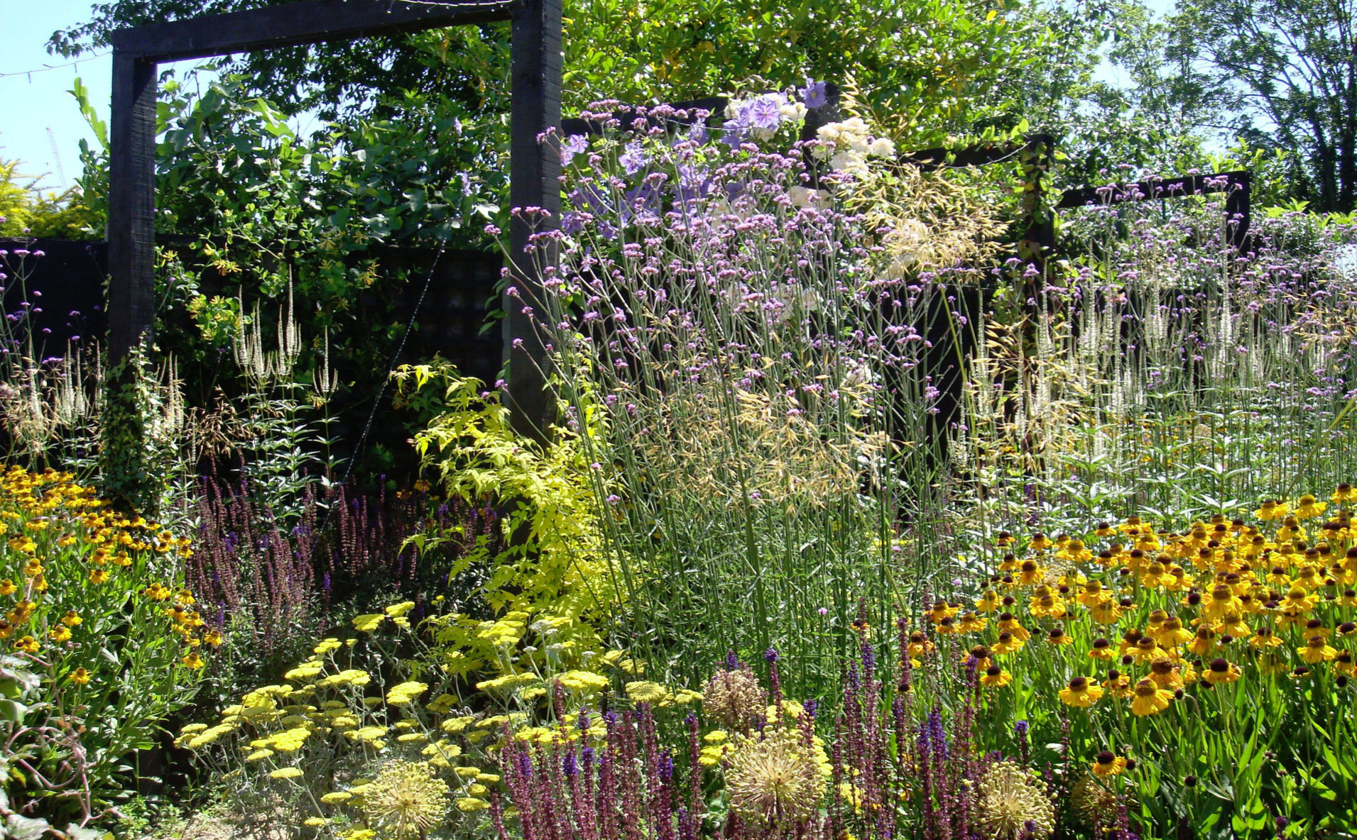 A long, narrow garden design in Woking, Surrey.